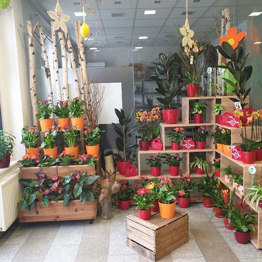 Geschäft von Steffi's Blumenwelt