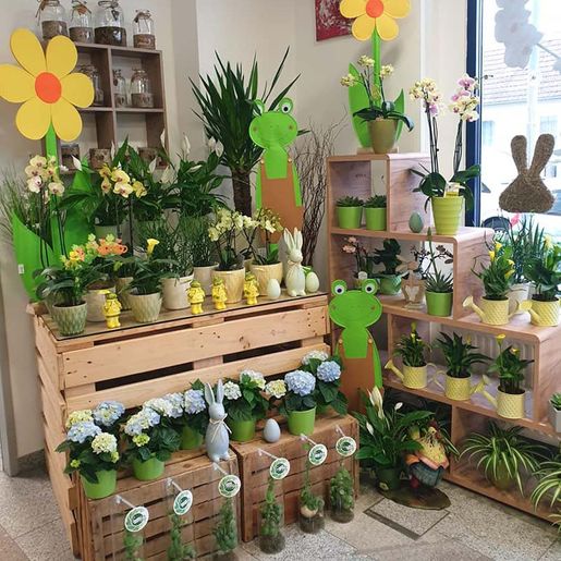 Geschäft von Steffi's Blumenwelt