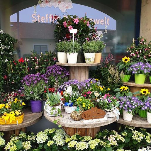 Geschäft von Steffi's Blumenwelt