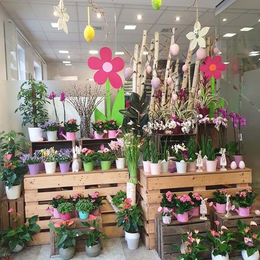 Geschäft von Steffi's Blumenwelt