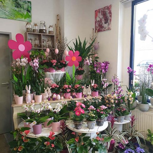 Geschäft von Steffi's Blumenwelt