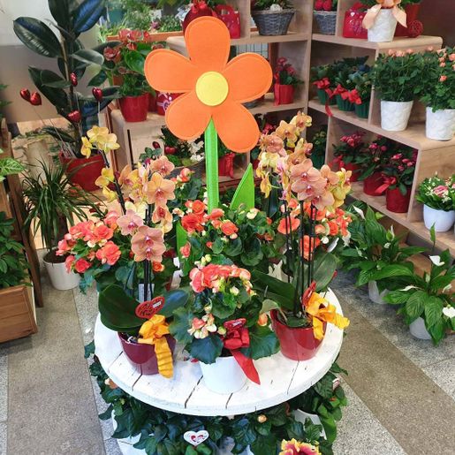 Geschäft von Steffi's Blumenwelt