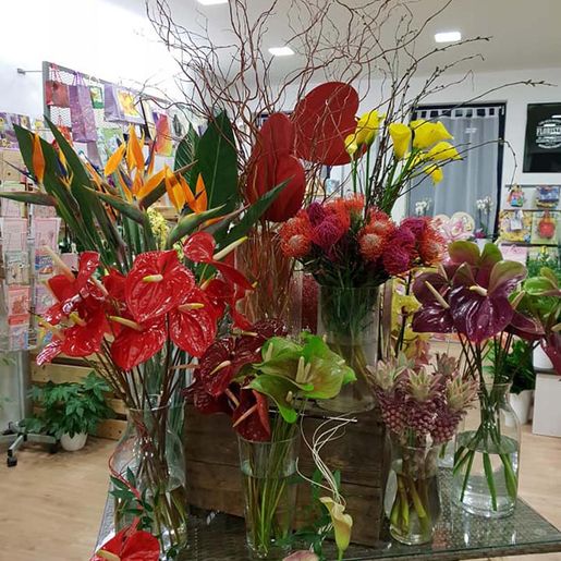 Geschäft von Steffi's Blumenwelt